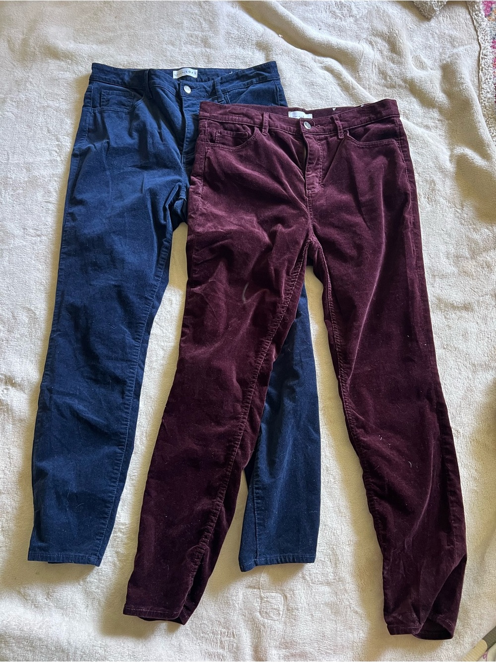 Ann Taylor LOFT Corduroy Curvy Skinny Stretch Pants - Navy & Burgundy size 10